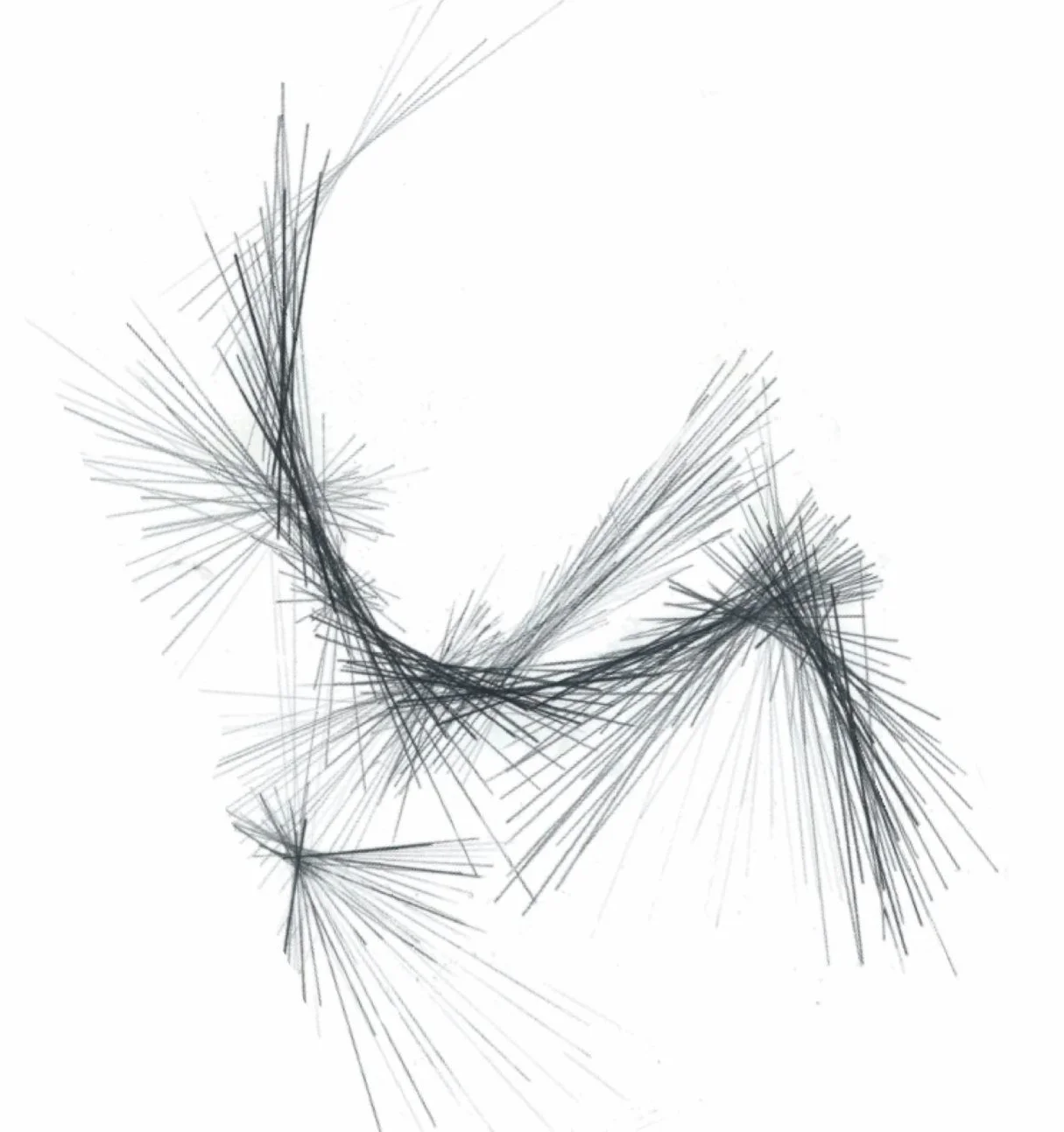  Parti Diagram of Altered Topography 