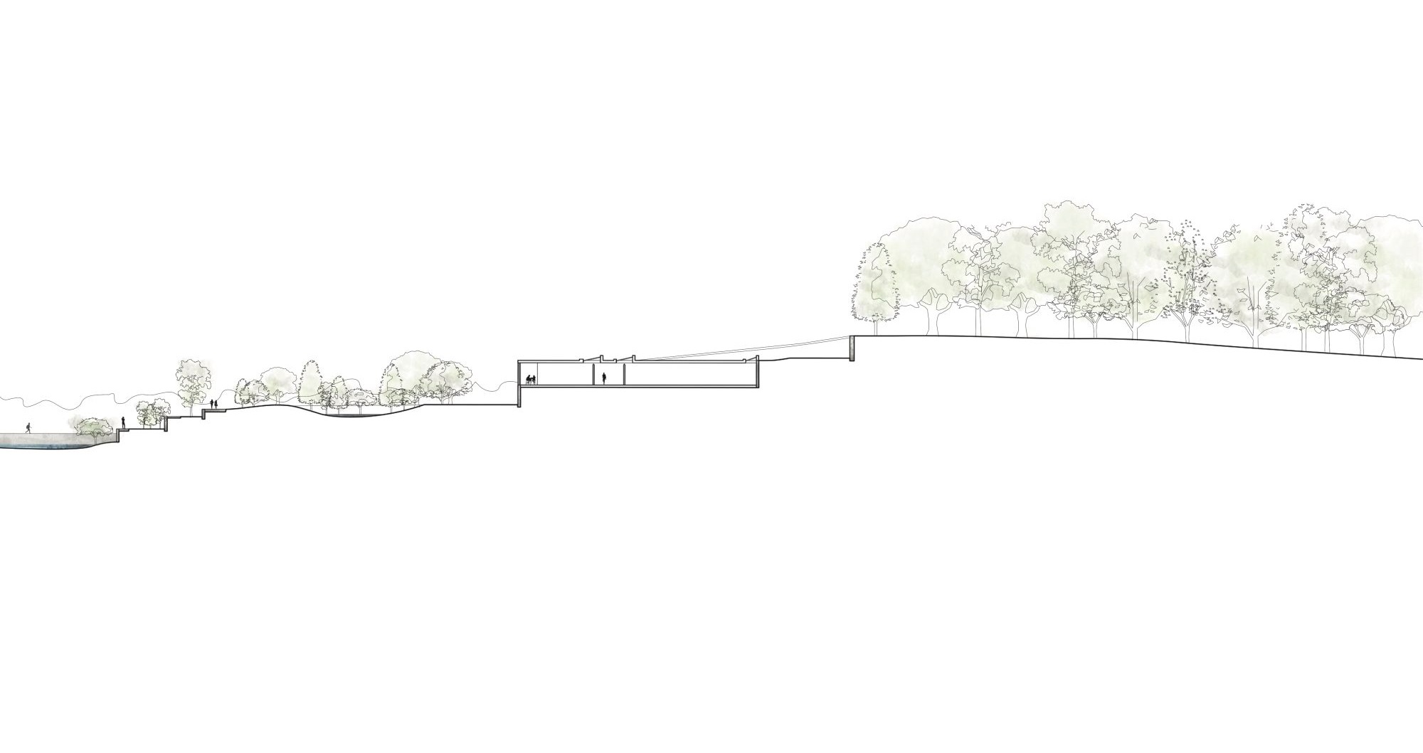 Section 