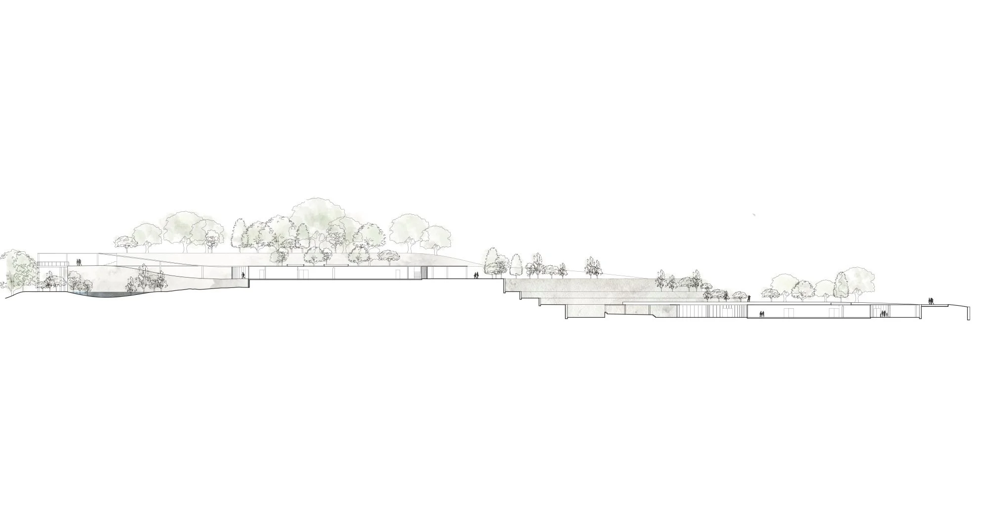  Site Section 