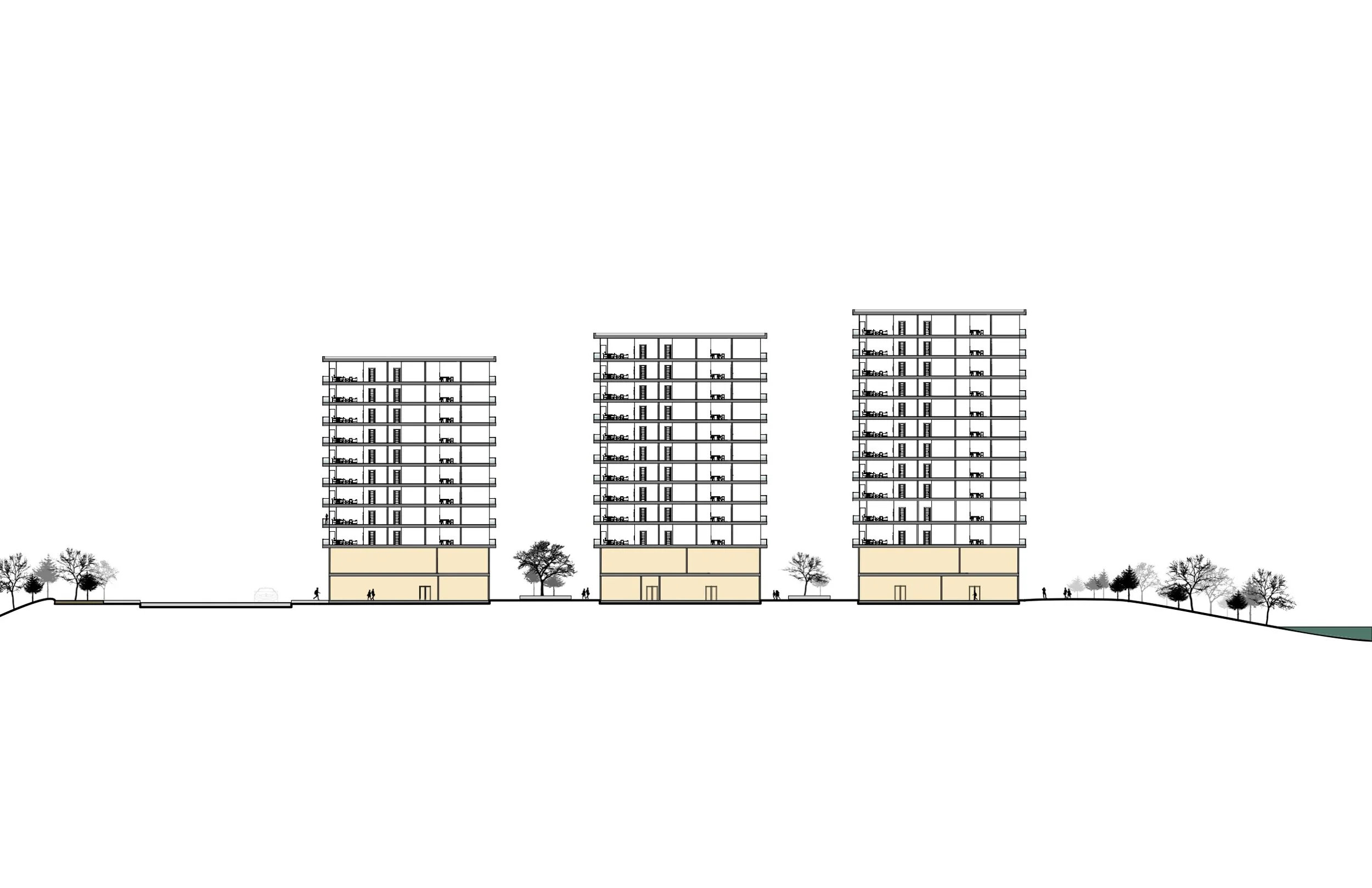  Site Section 