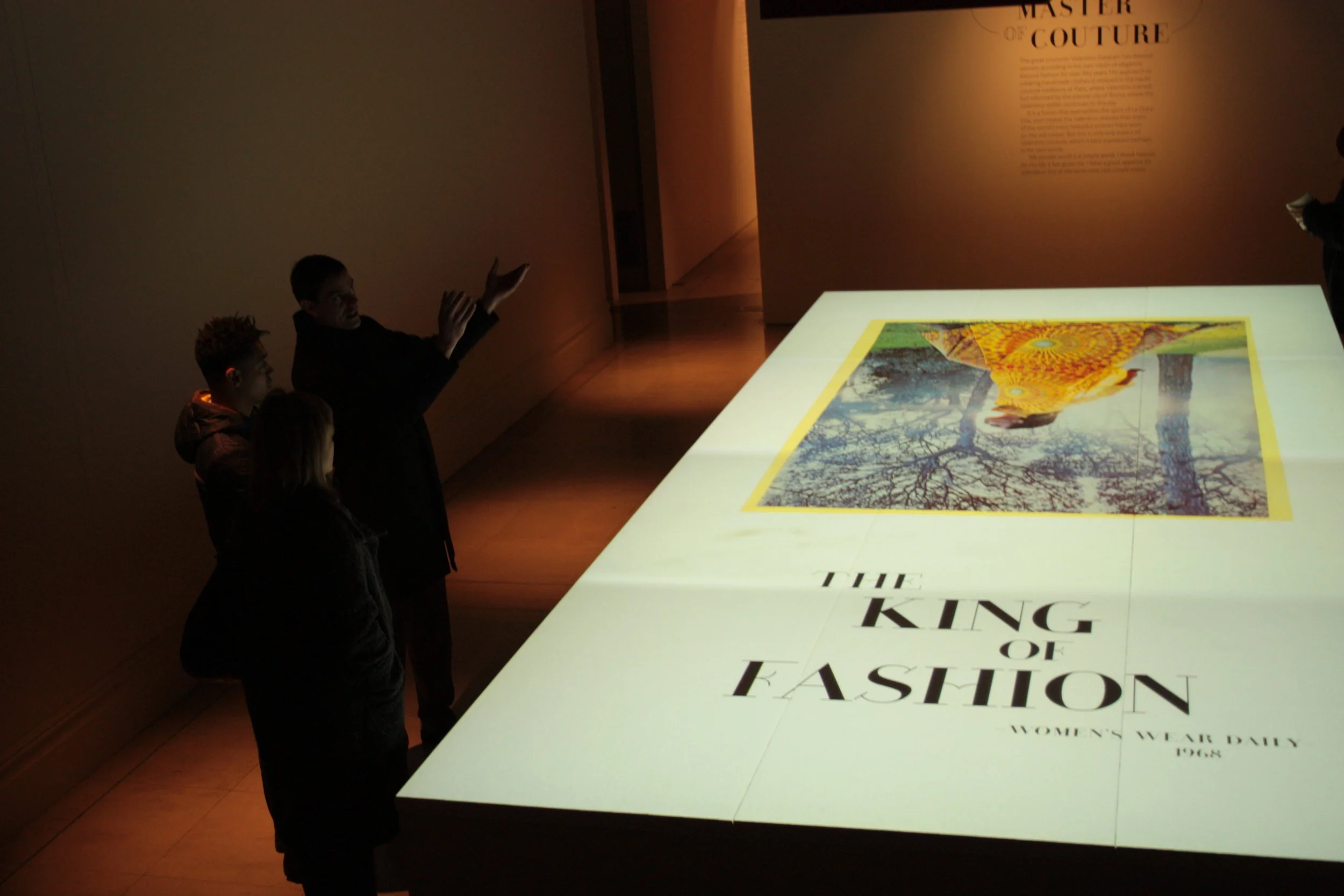 Valentino_Rose_Projection_15.JPG