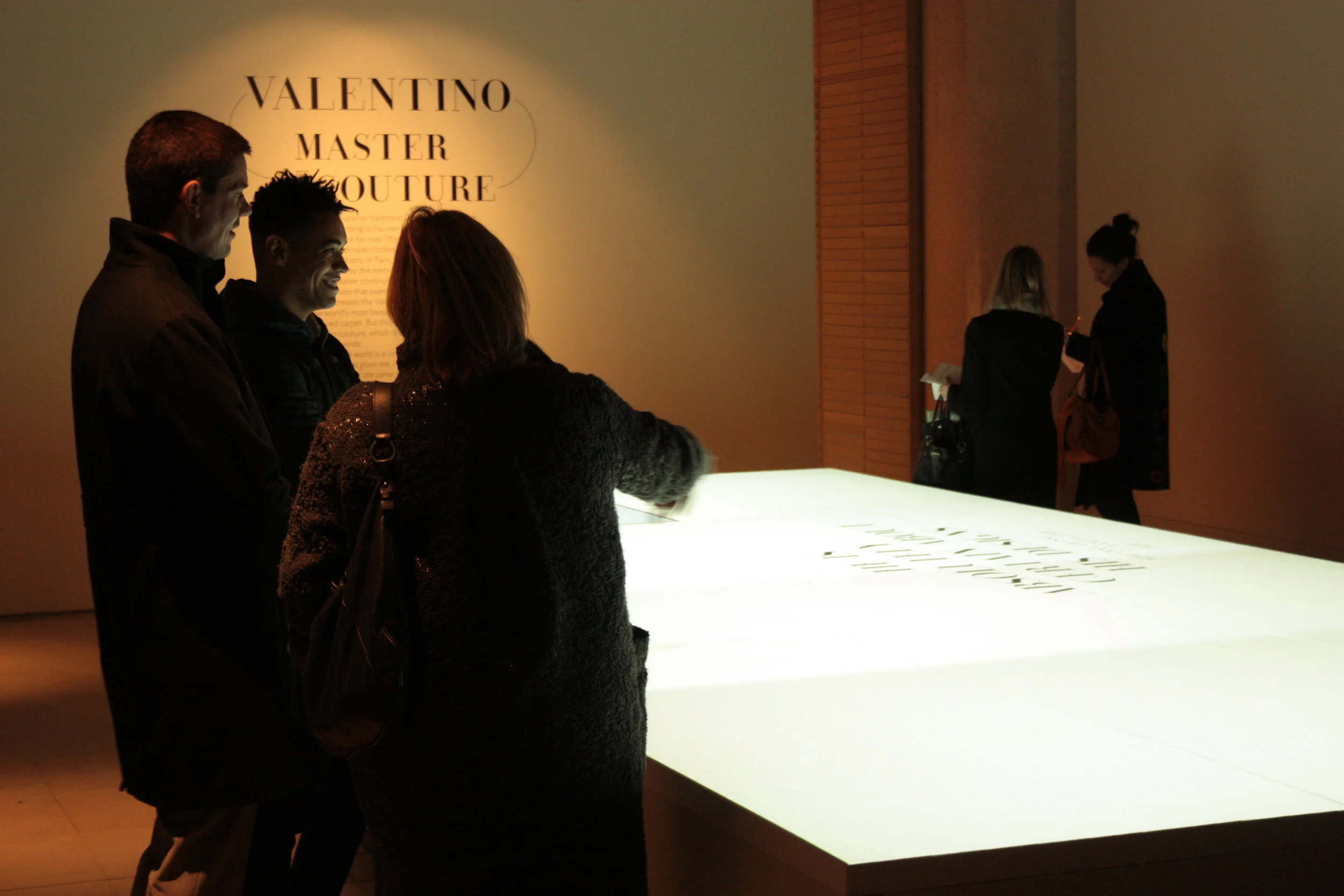 Valentino_Rose_Projection_16.JPG