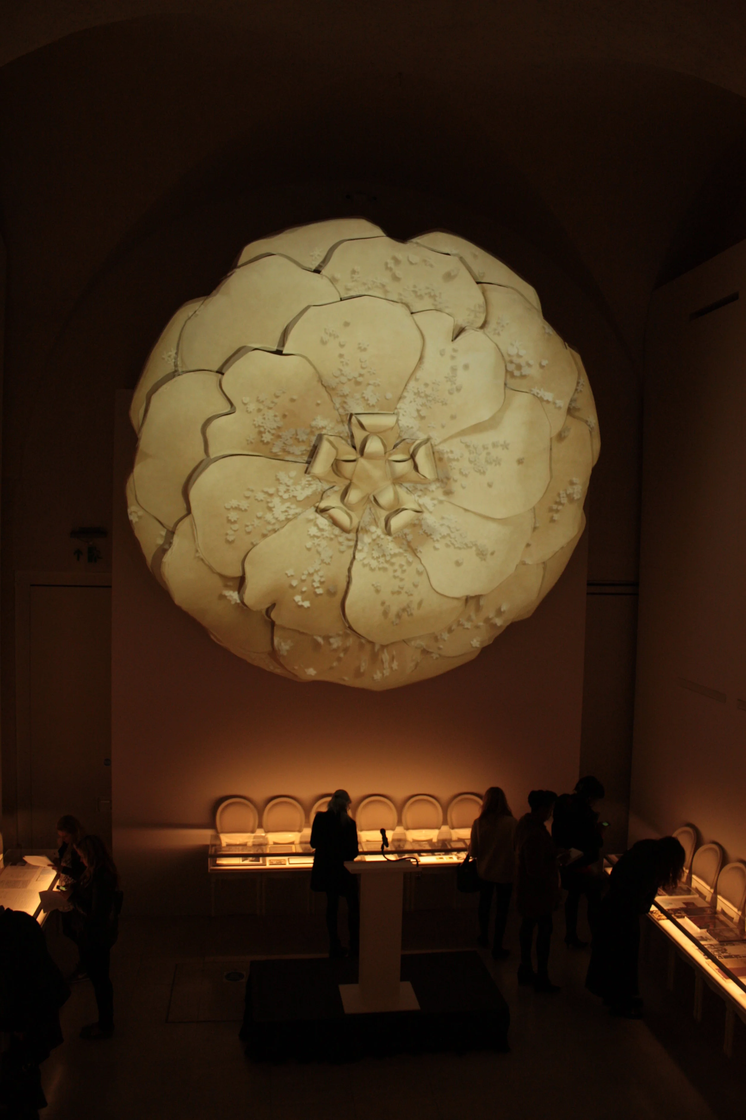 Valentino_Rose_Projection_4.JPG