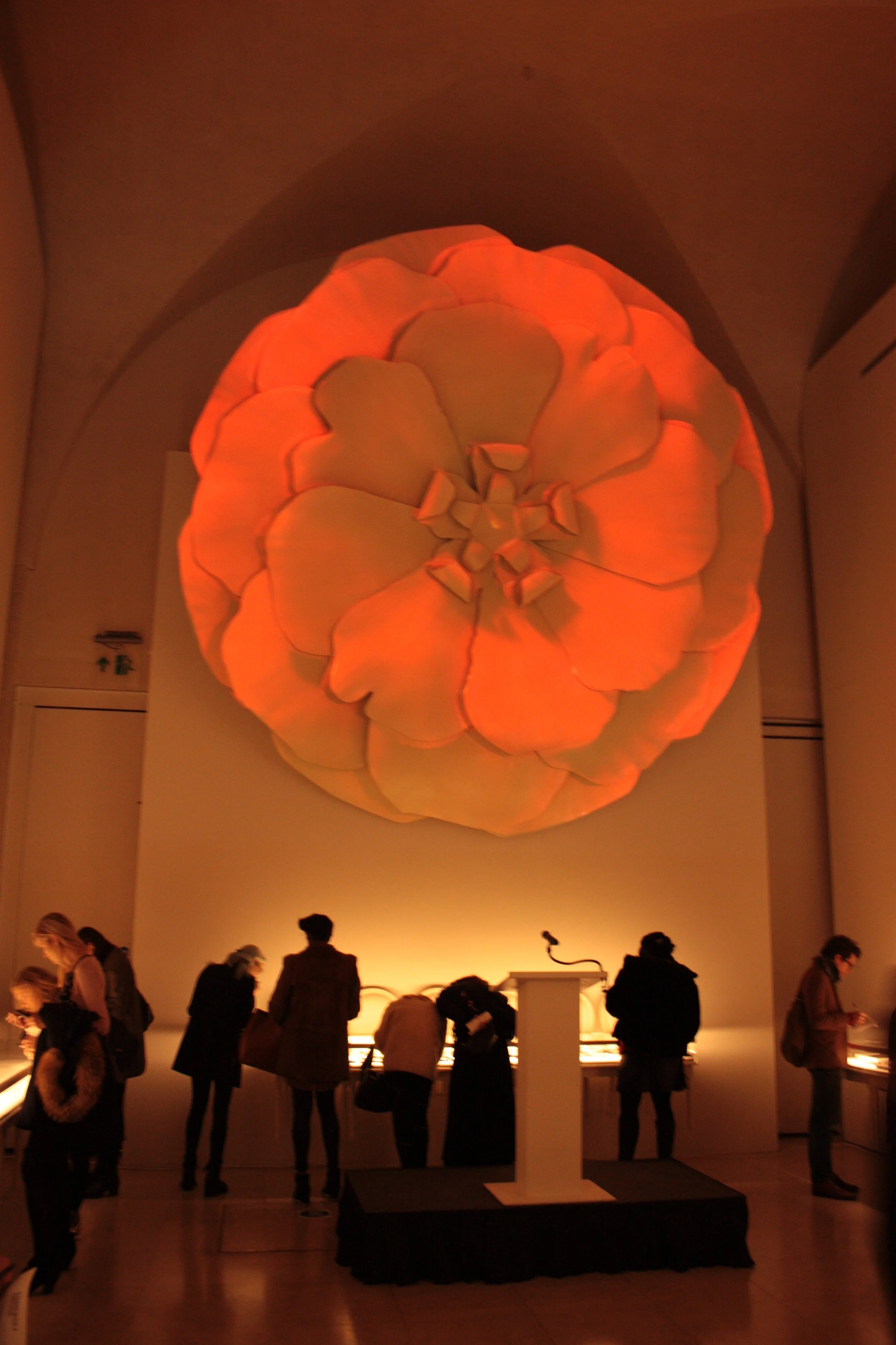 Valentino_Rose_Projection_6.JPG