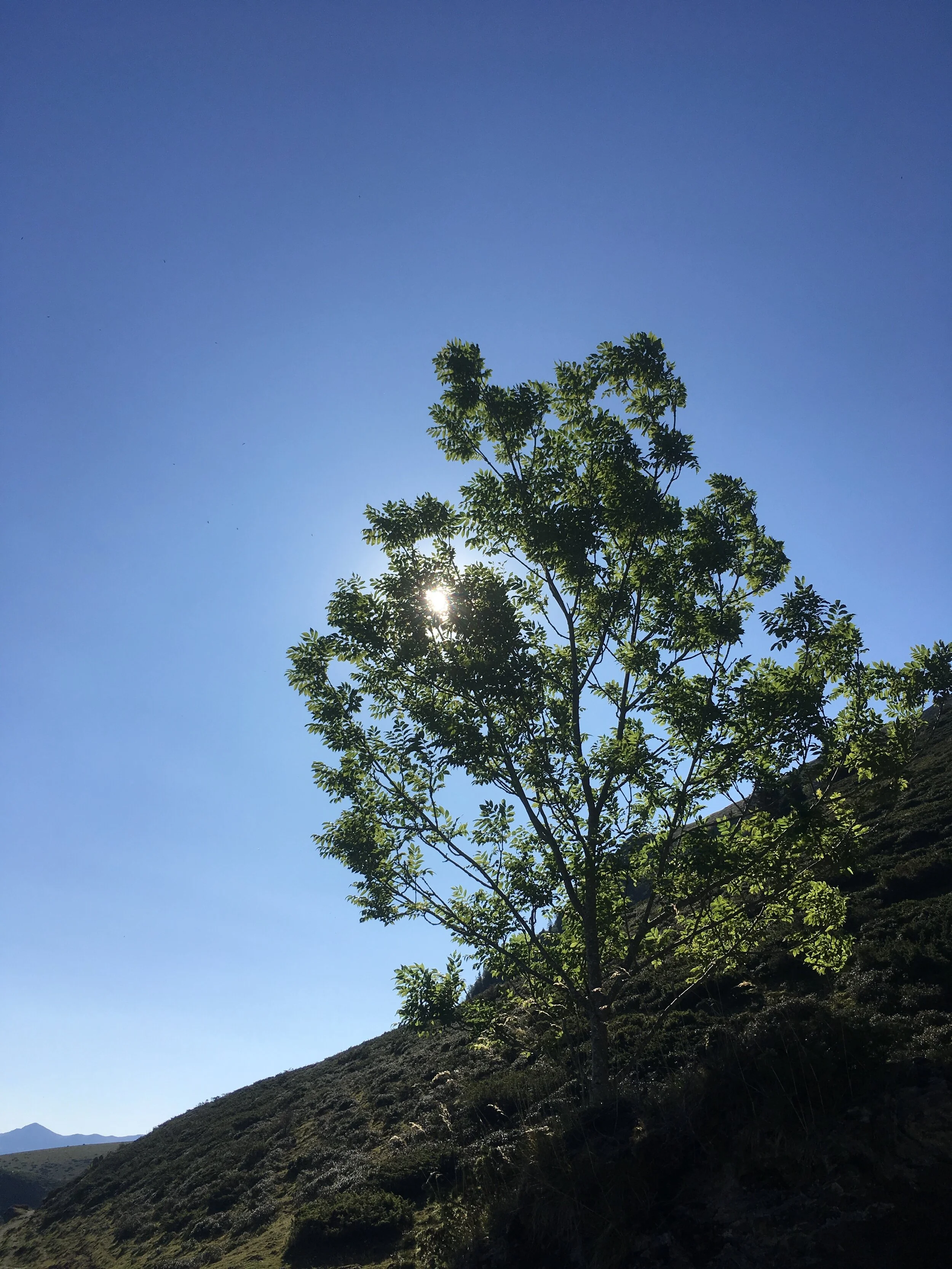 Une affaire de lumière !