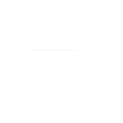 AUTO MEDICS SERVICES - SCHEDULED REPAIRS