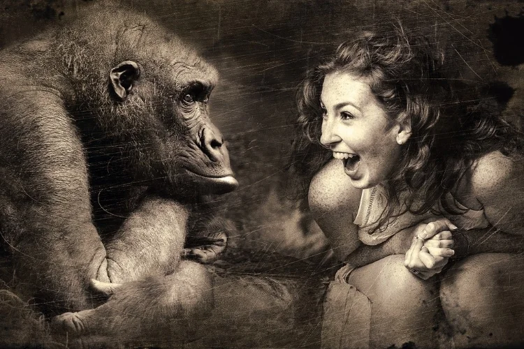 Arta divinației - Maimuța, animalul de putere 