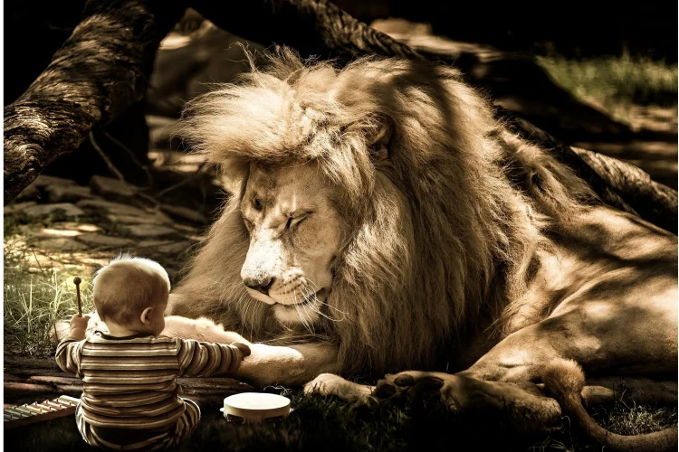 Conferință - Arta de a dresa animalele de putere (folosind magia sunetelor)