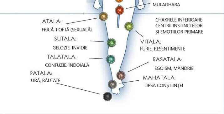 15 chakras.jpg