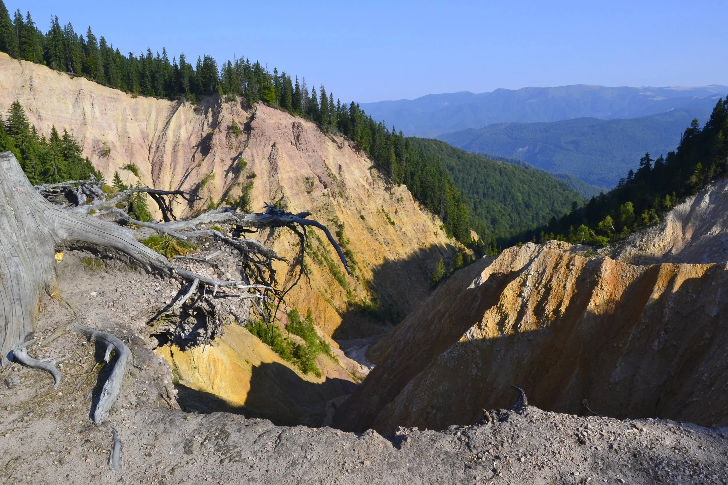 groapa ruginoasa.JPG (Copy)