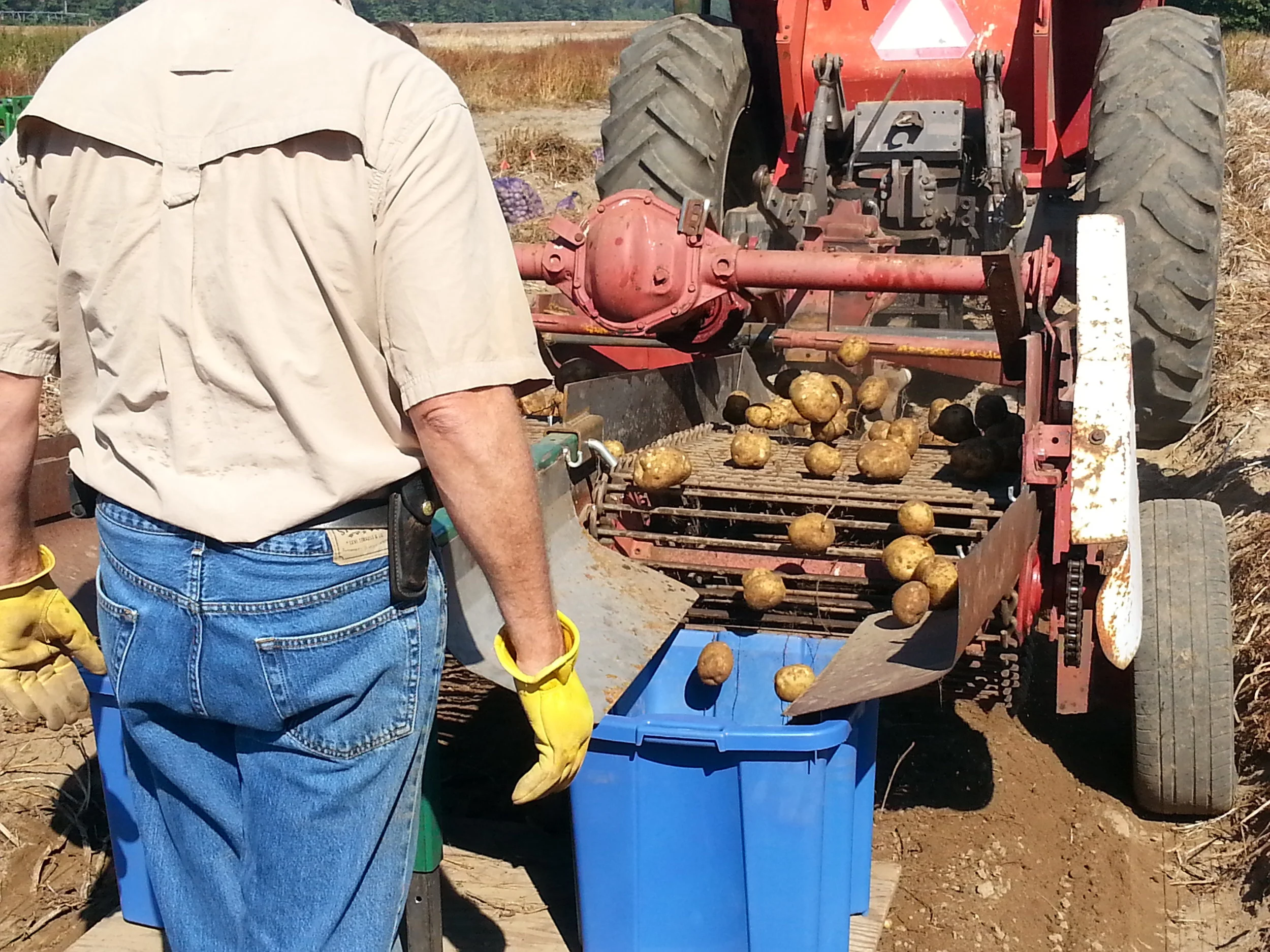 2-Row Potato Digger