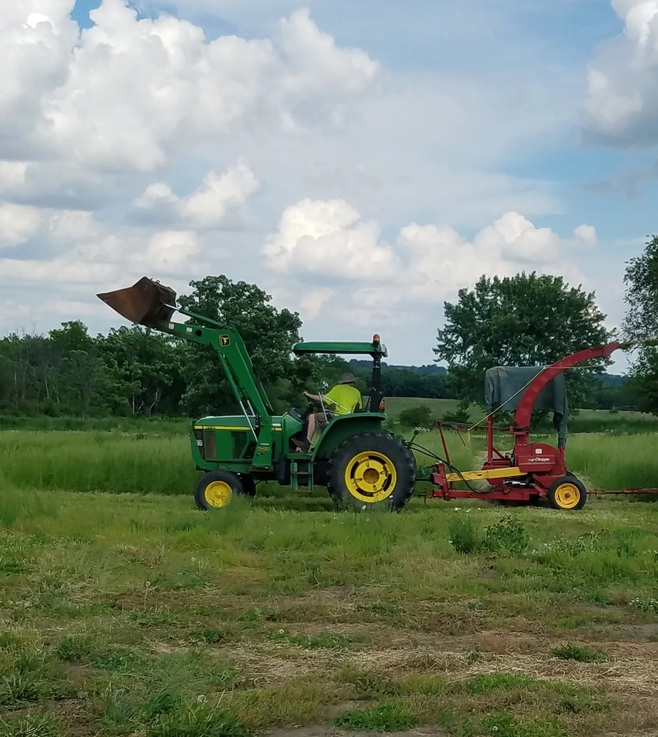 Alfalfa Harvester