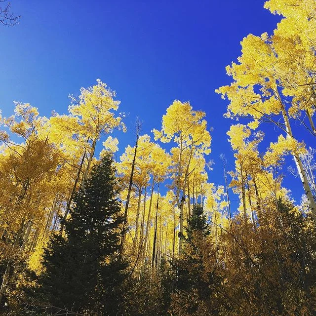 Santa Fe, Fall Aspen Time