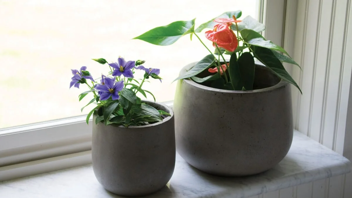 fiber-cement-planters-1200x675.jpg