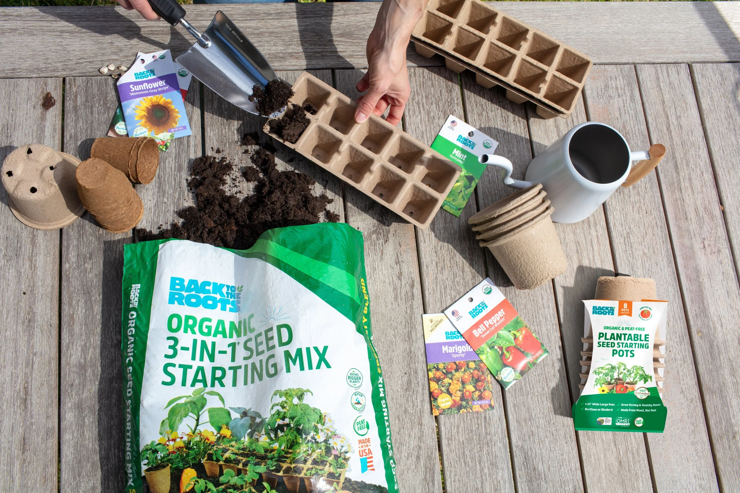 BTTR-SeedStarting-2307-43_230823.jpeg