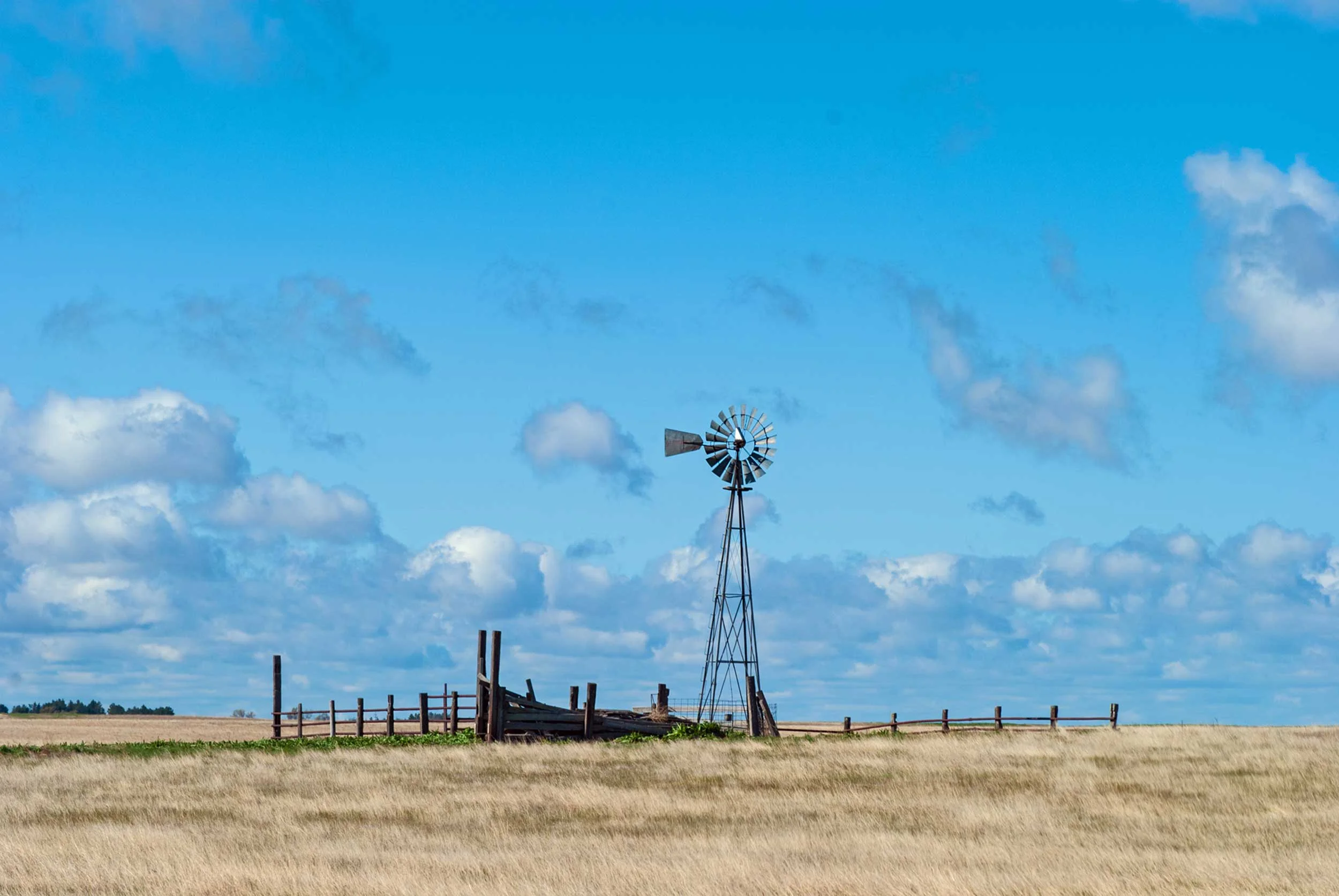 clear-day-web.jpg
