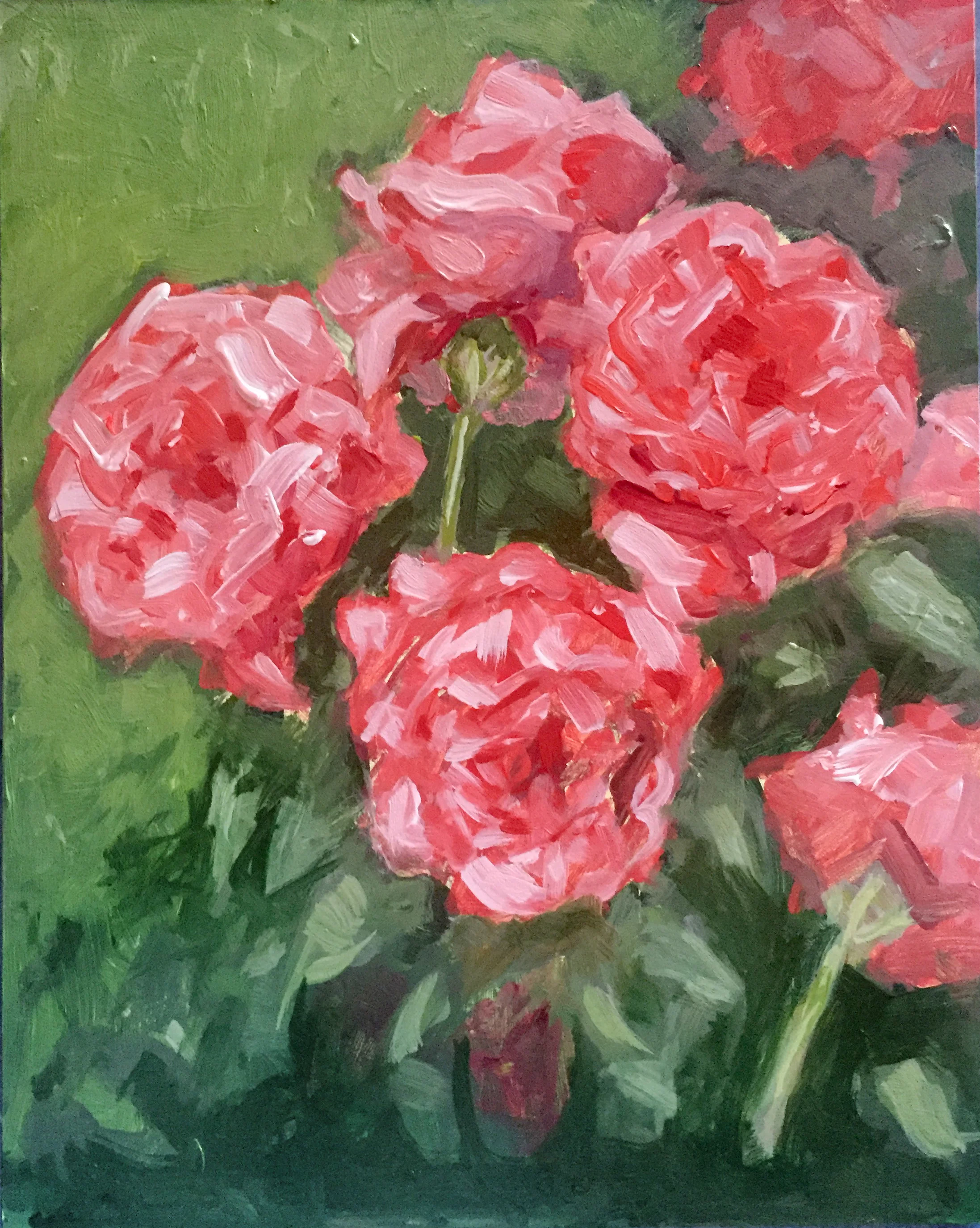 pink roses in the rose garden.JPG