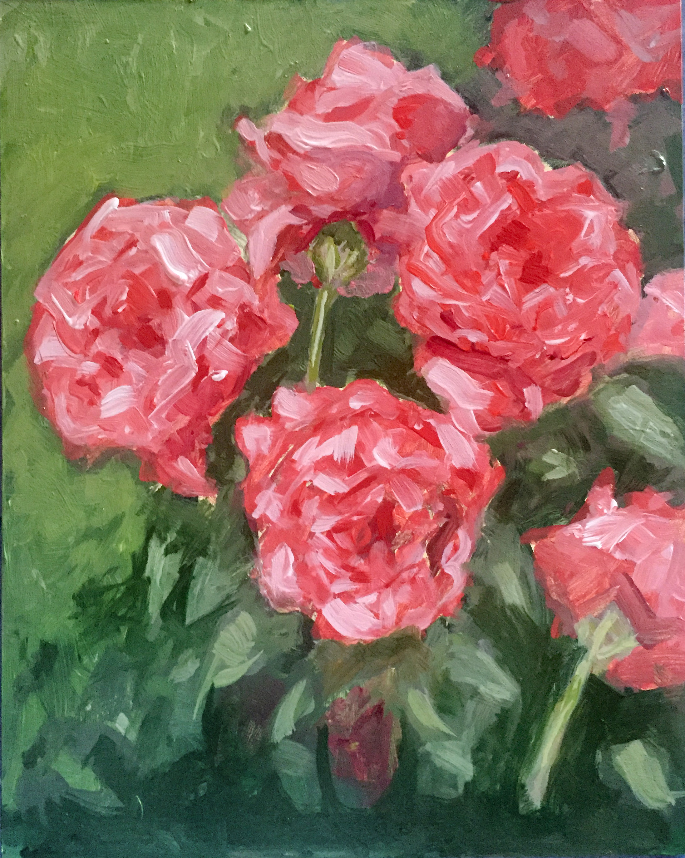 Red Roses from the Rose Garden