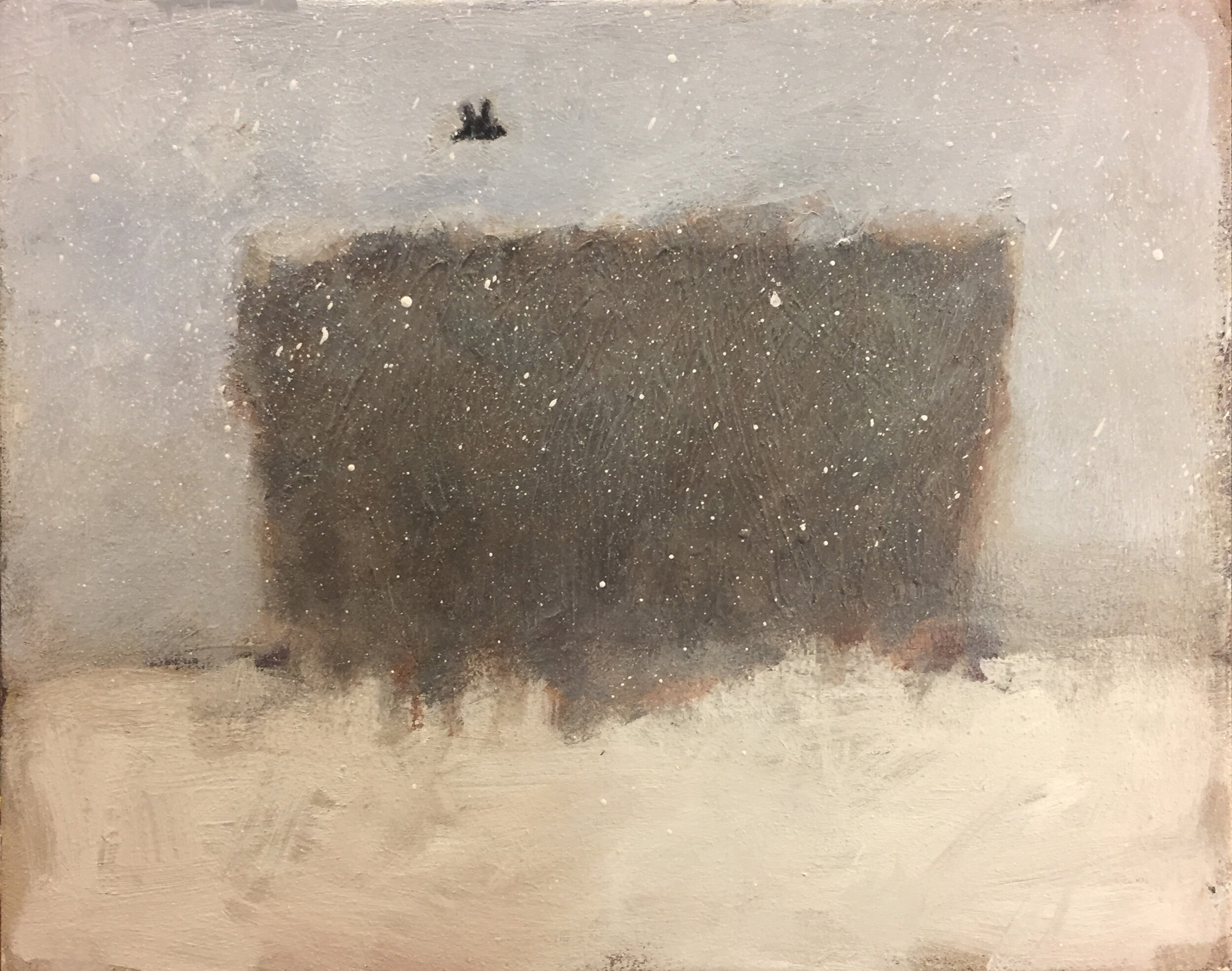 crow in the snow.JPG