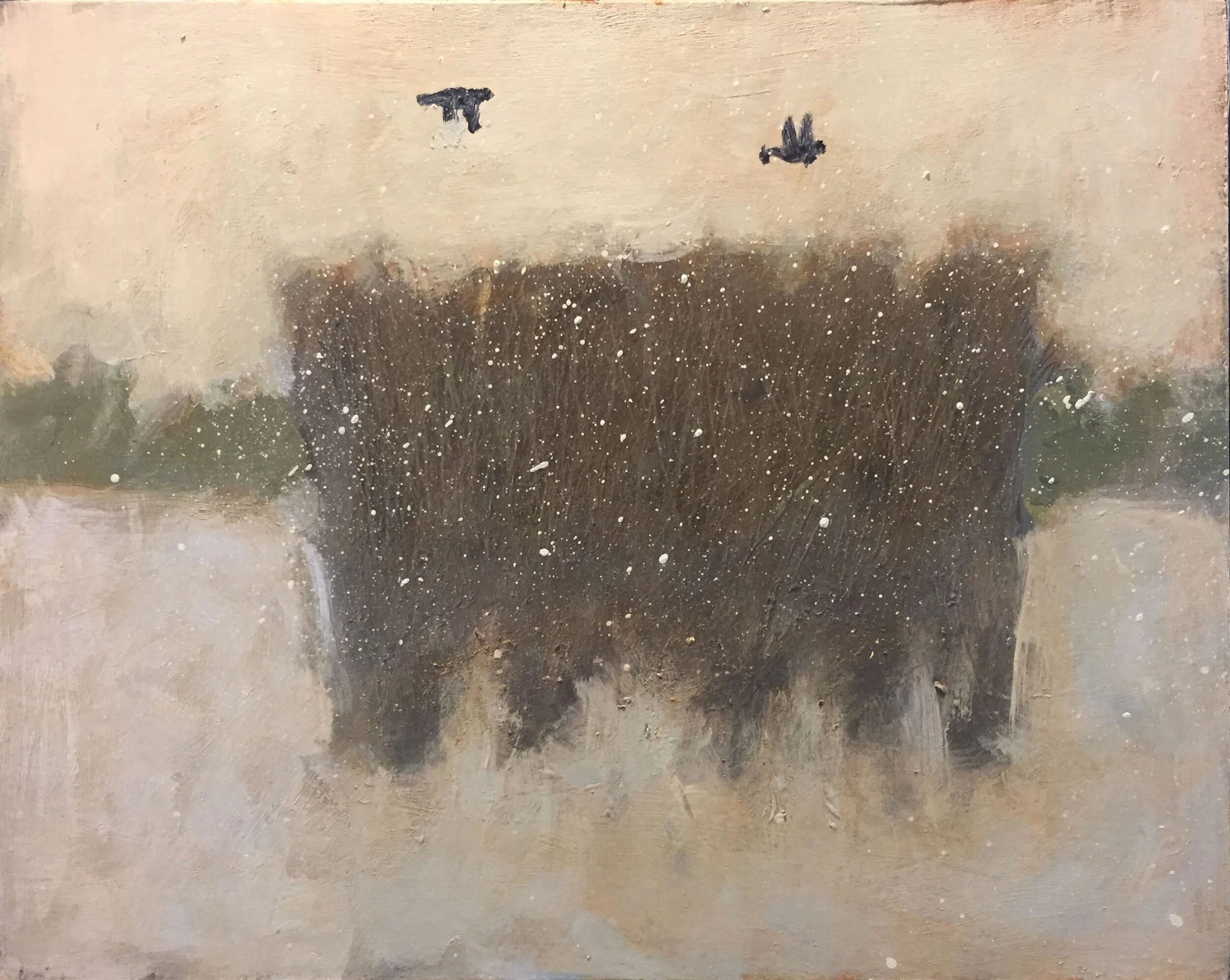 Two Crows in the Snow.JPG