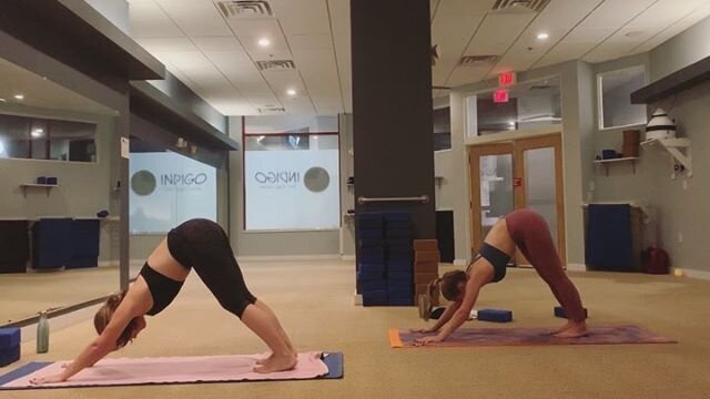 Post class moves with @alruggere from last Thursday ~ working on crow &amp; headstand! 👏🏼
.
.
.
#practice #journey #headstand #crow #strength #body #mind #spirit #yoga #yogaeverydamnday #yogagirls #moveyourbody #any #body #getonyourmat