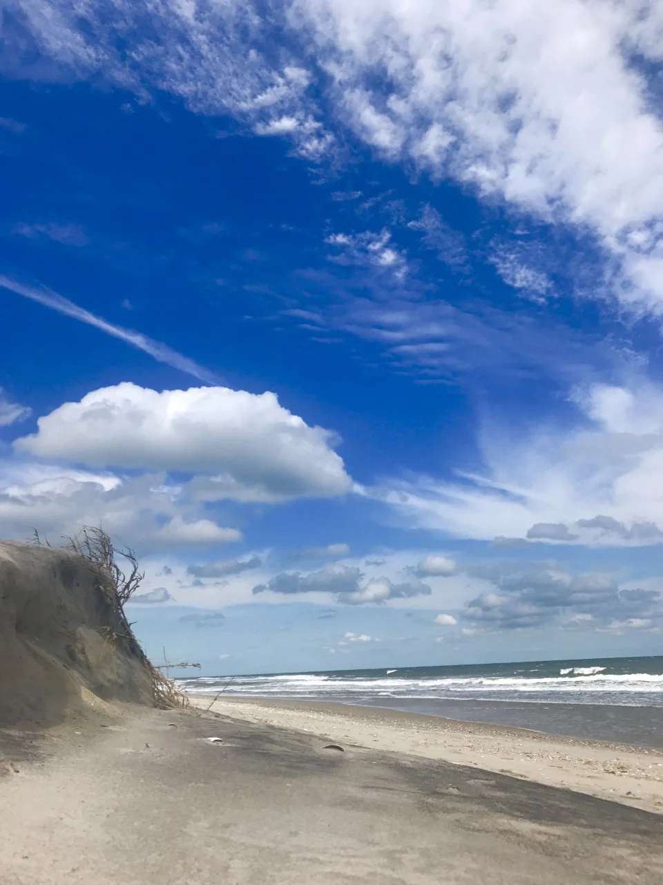 EternalBlue20190303.jpg