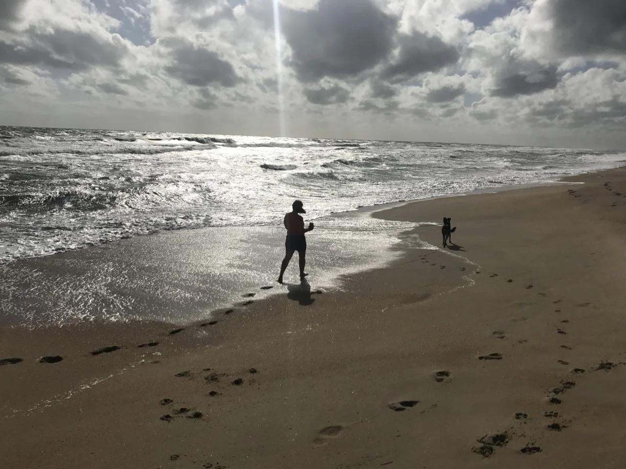 WindRay20190303.jpg