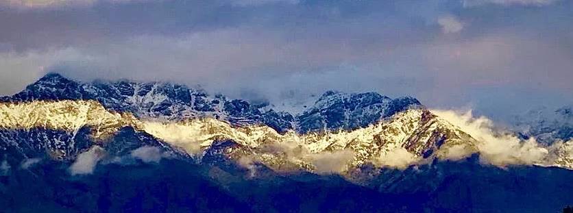 Andres_Andes)20190119.jpg