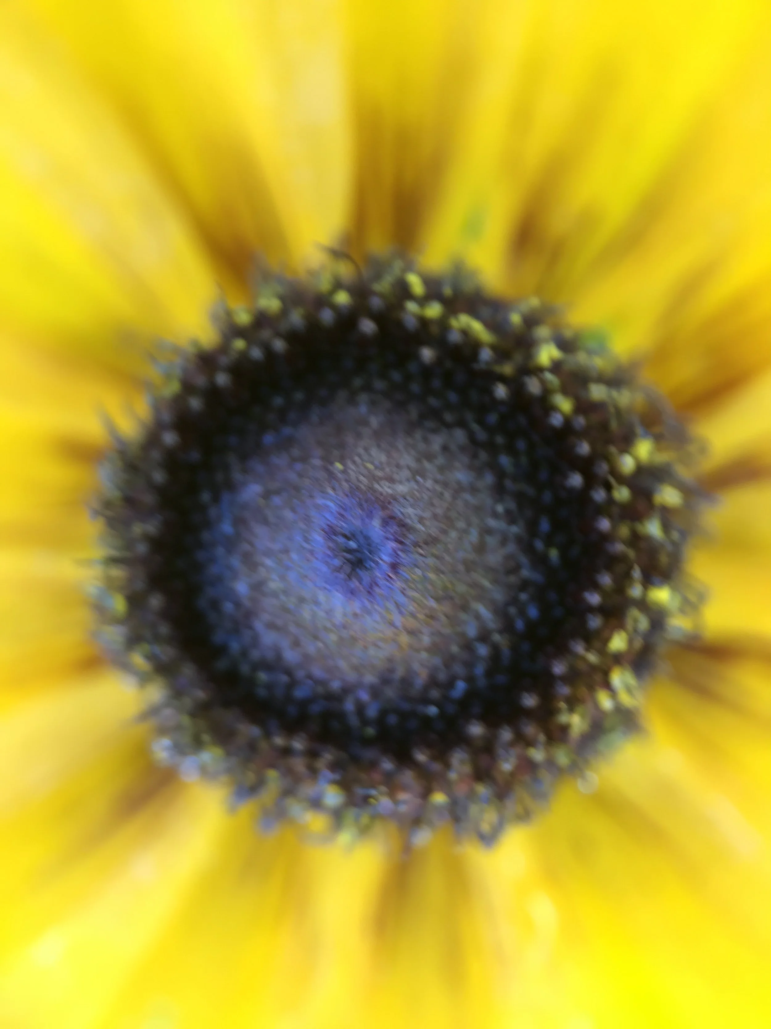 CD60BCA0-1A94-4B43-92F0-BECC36FA1141.jpeg