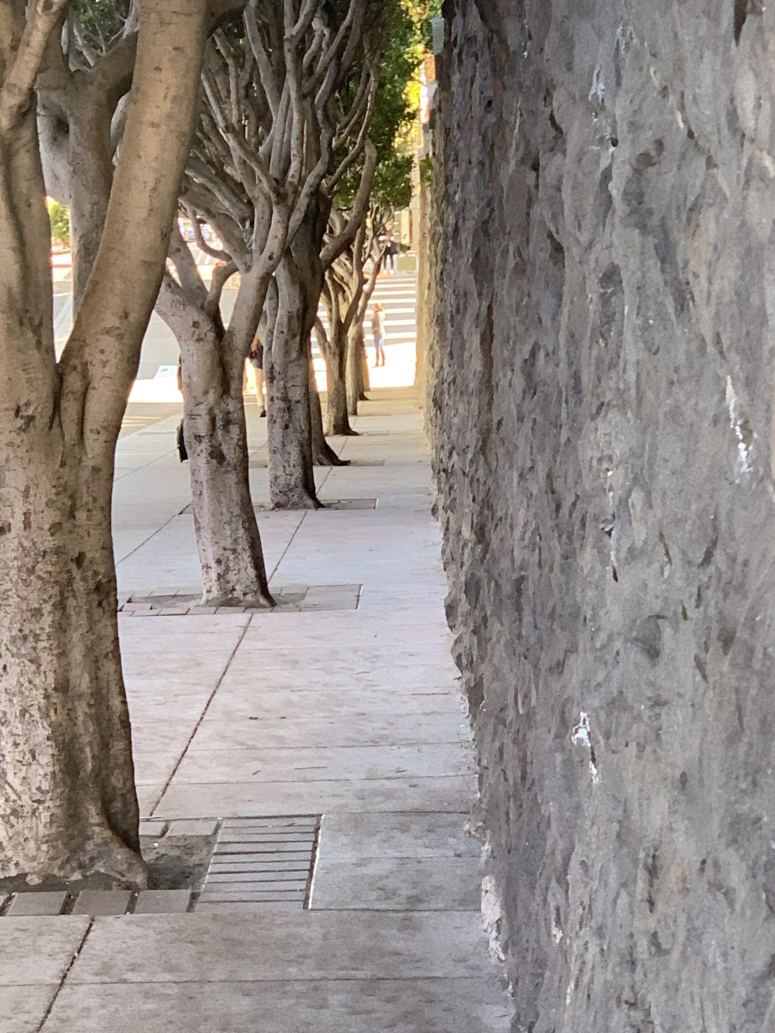 5B01ACB7-2E1C-4109-941C-70982D064D07.jpeg
