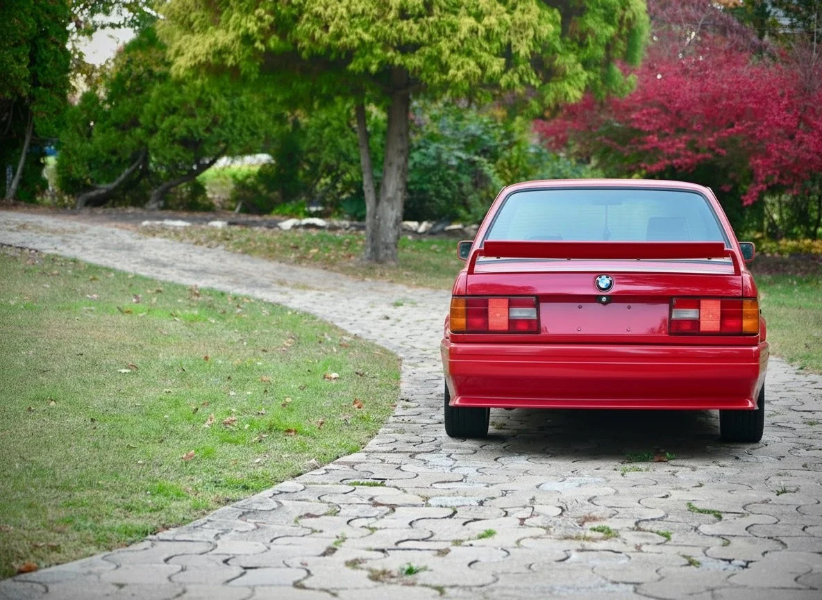 Firefly_make the image print quality  646498.jpeg