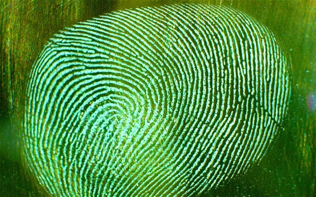 fingerprint.jpg