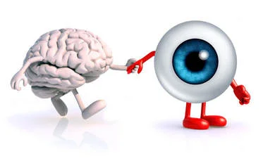 Image by Minnesota Vision Therapy Center