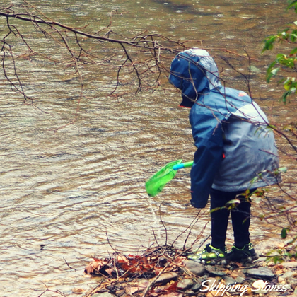 skipping-stones-2.png