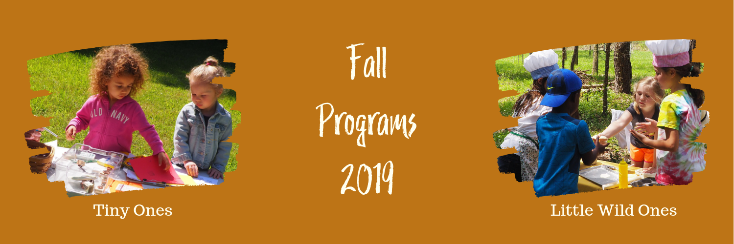 Spring and Summer Programs 2019teal2.png