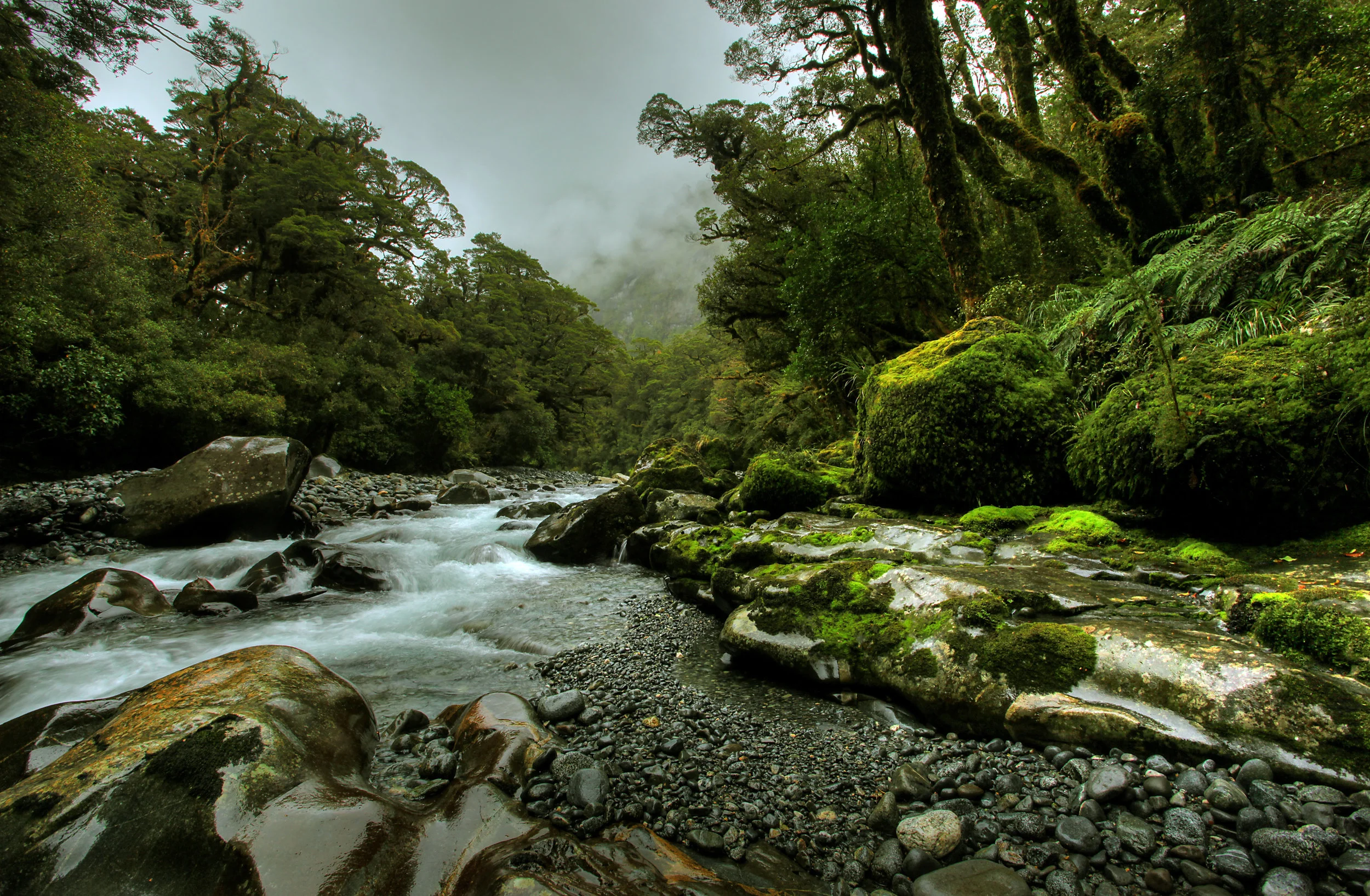 West Coast, South Island