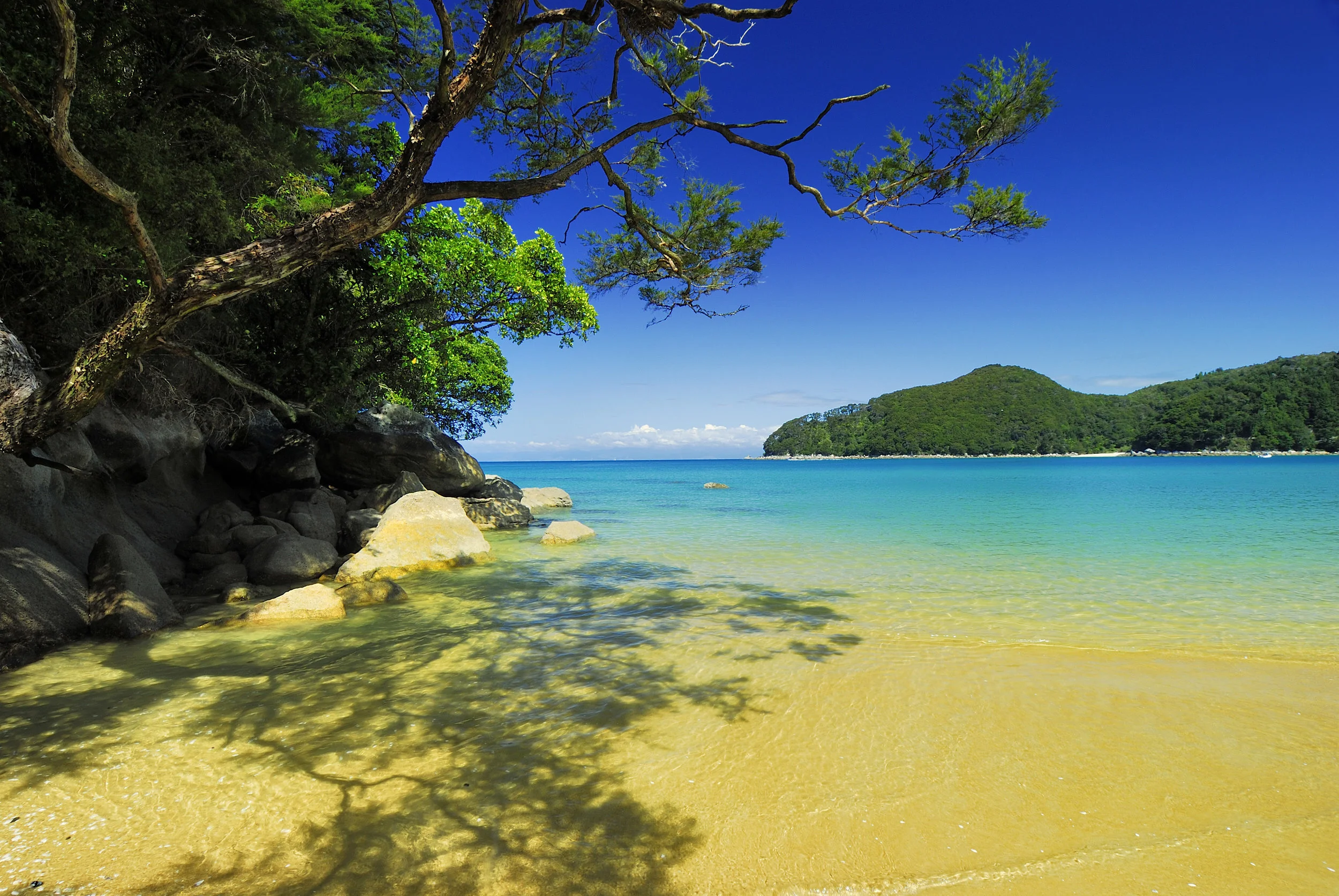 Bark Bay, Able Tasman South Island