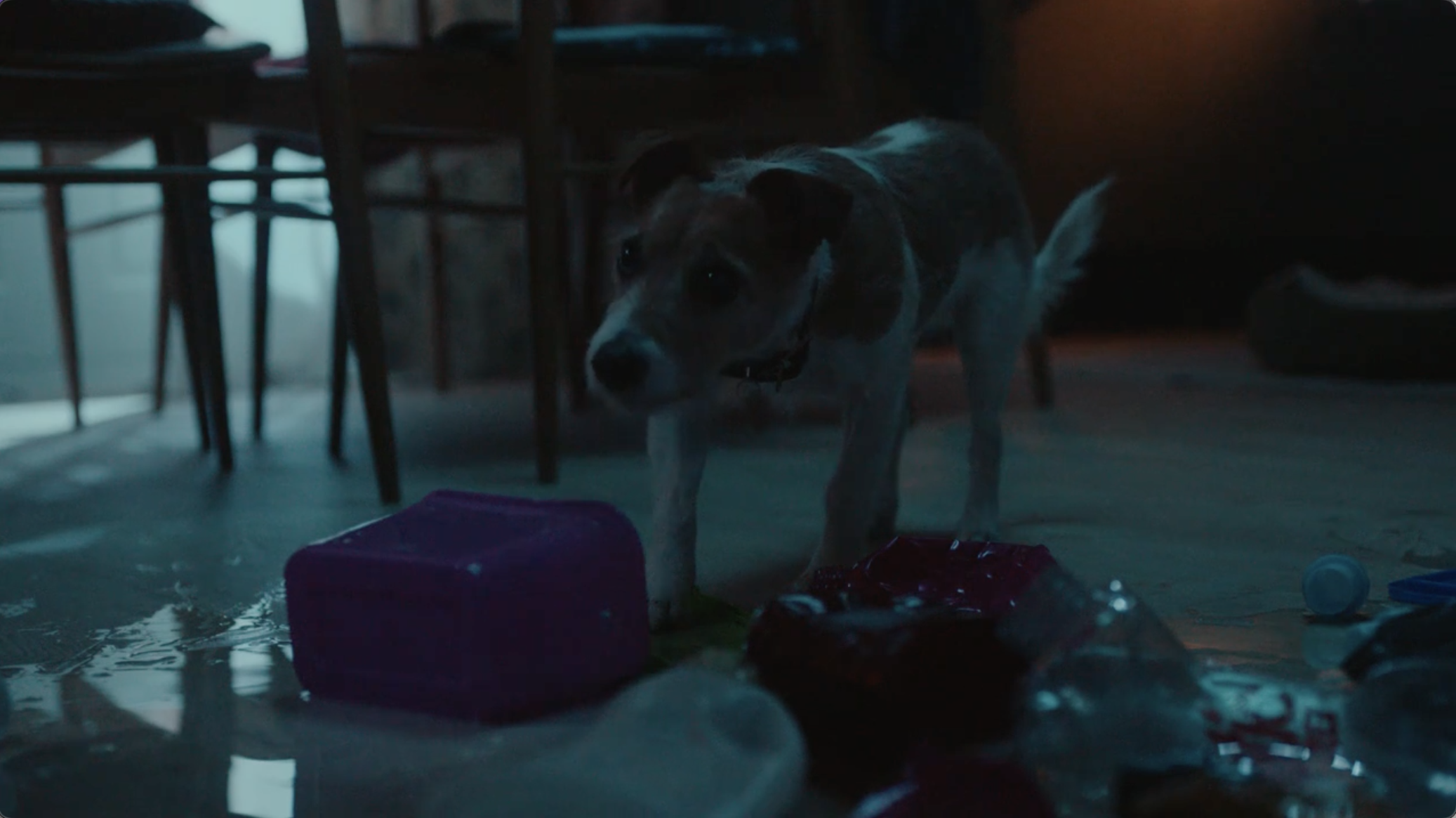 smol products Sick Of Plastic TV Advert