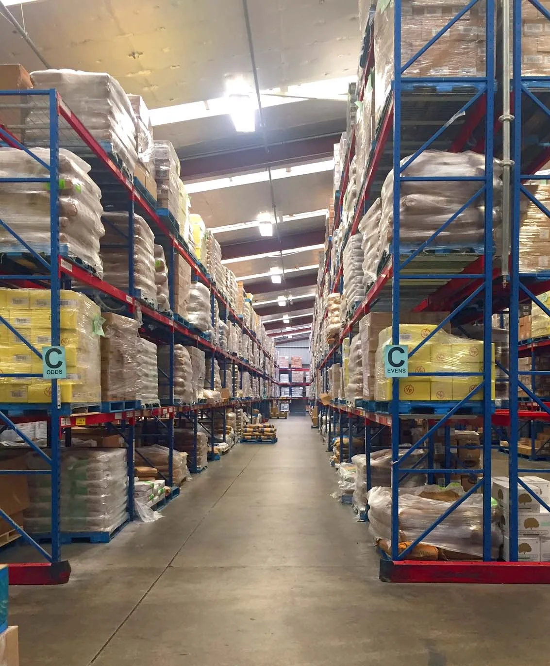 Prolife+Foods+-+Procurement+Supply+Chain.jpg