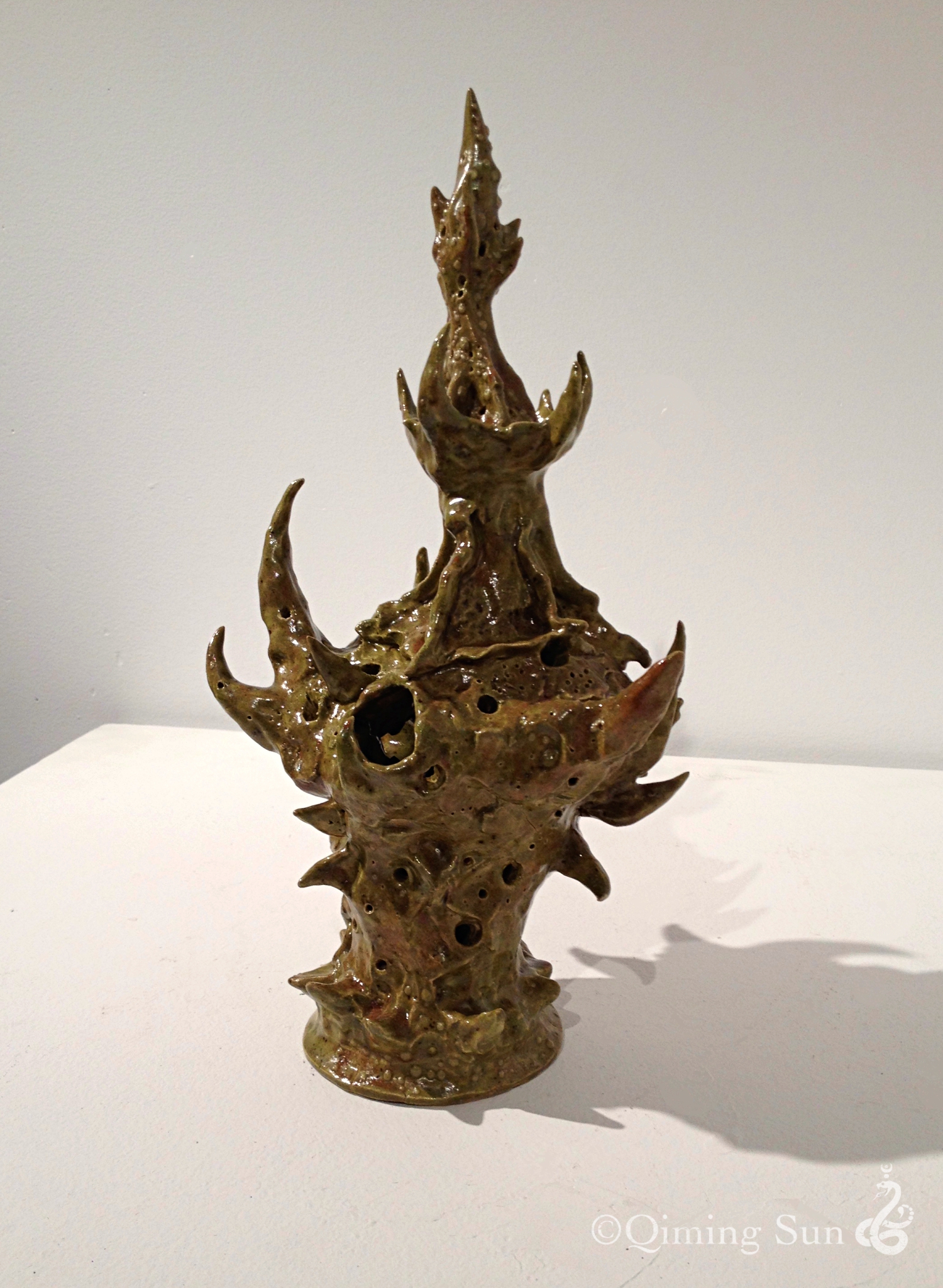 QIMING_SUN_Mushi2_2015.jpg