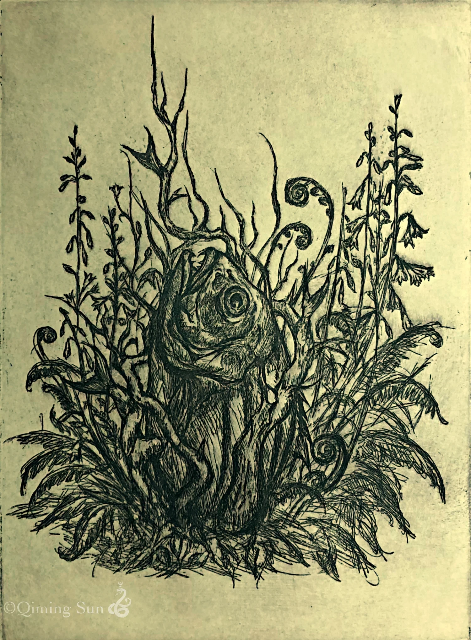 bonsai.jpg