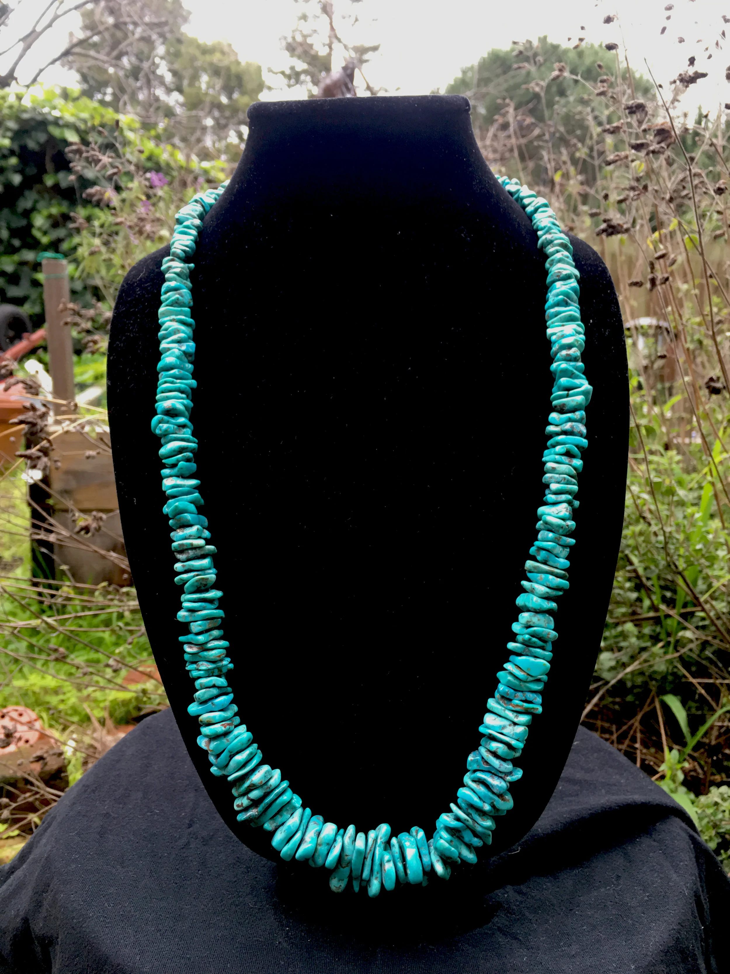 Turquoise (includes earrings)