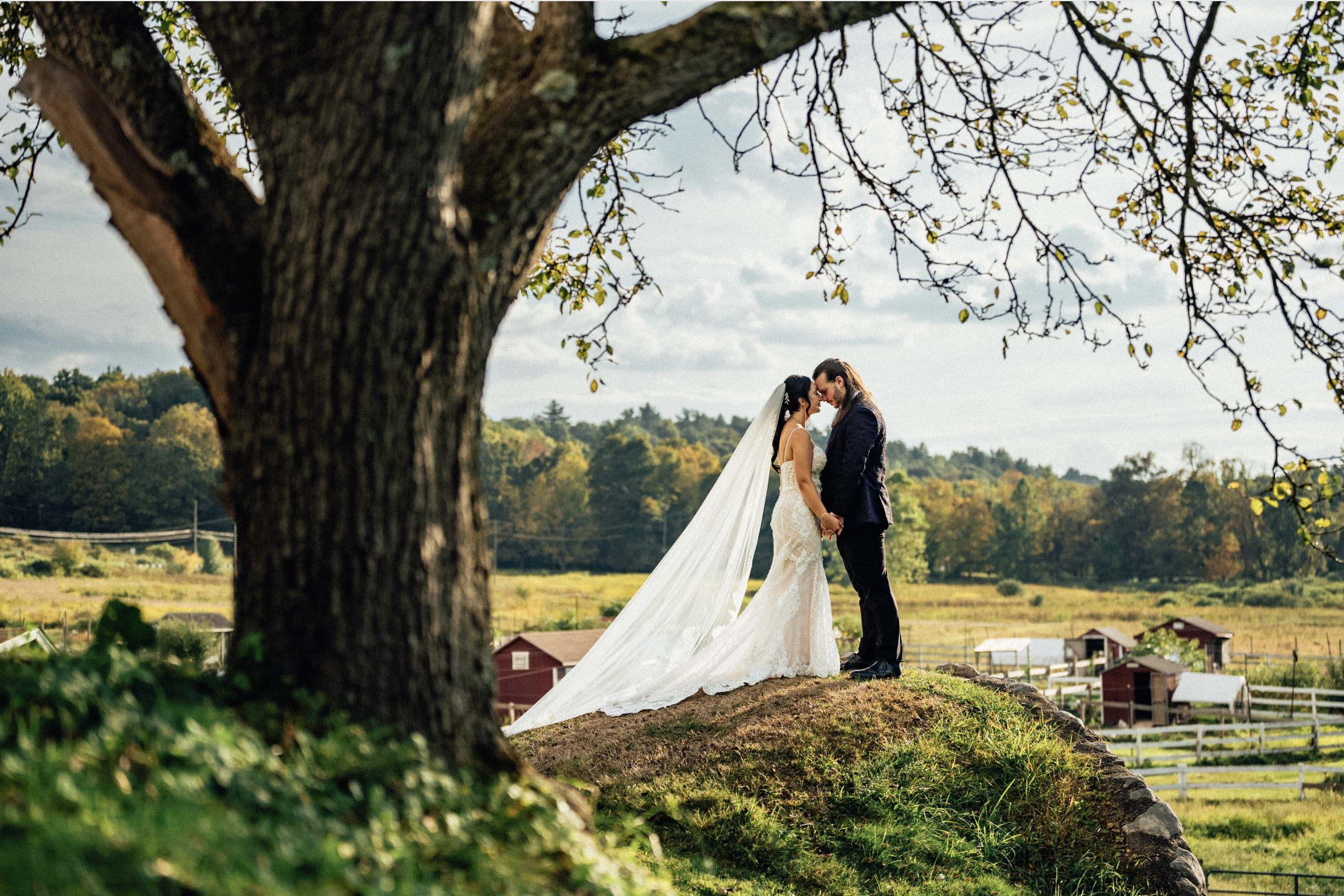 Screenshot 2026-02-15 at 4.56.12 PM.png