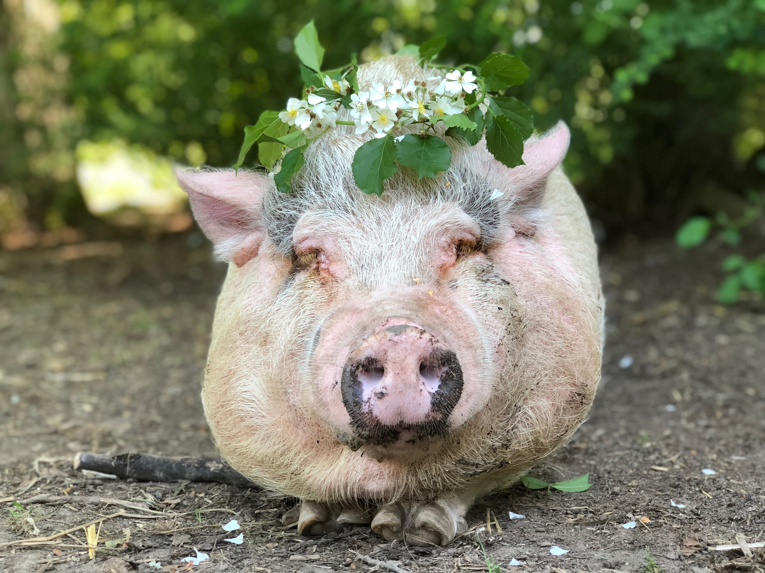 clara with wreath of flowers.jpg