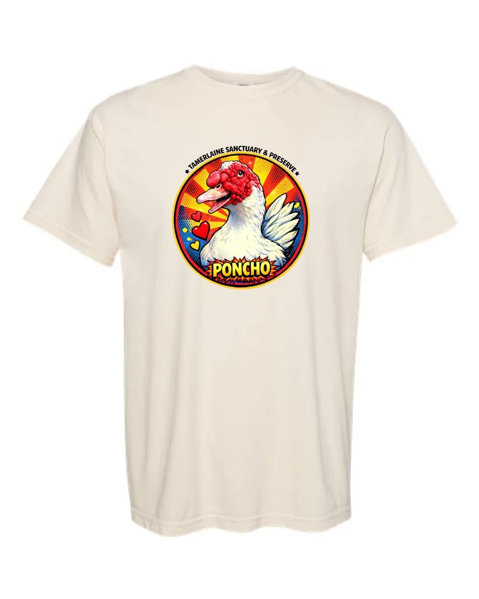 Poncho-T-Shirt-Mock.jpg