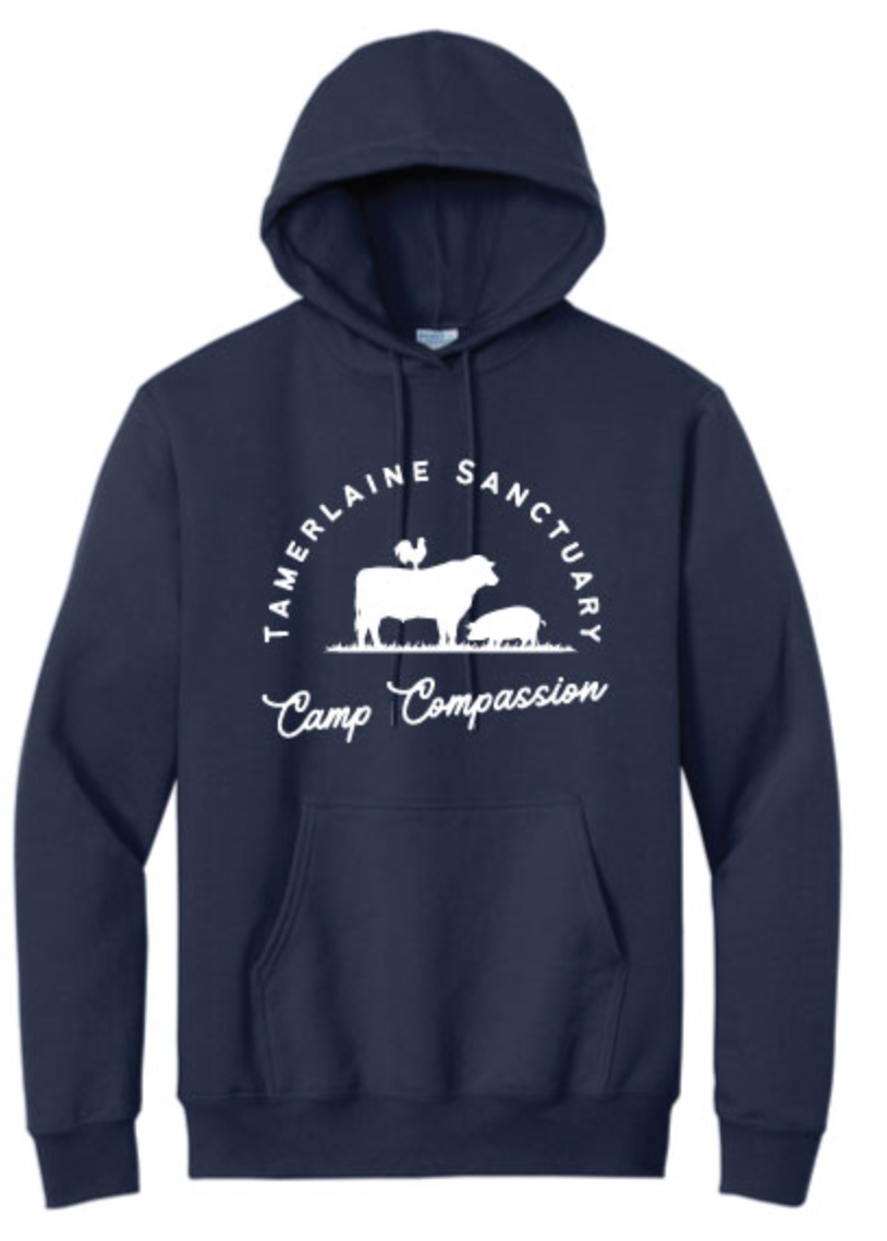 Camp Compassion Hoodie - Navy with blue lettering