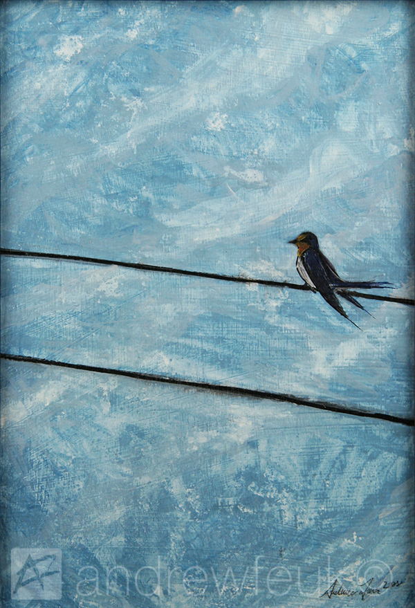 Barn Swallow #1
