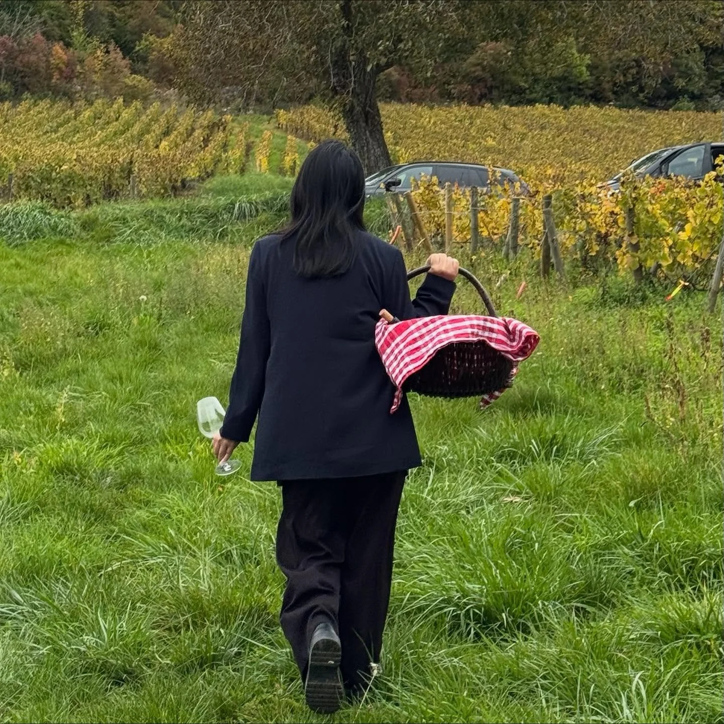 Wonderful 4 days spent in the Burgundy region with wine tastings and vineyard tours at Domaine DuJac, Domaine Henril &amp; Gilles Buisson and Charles LaChaux along with fabulous meals had at L&rsquo;Expression, Le Soufflot and La Herme de la Buchotte