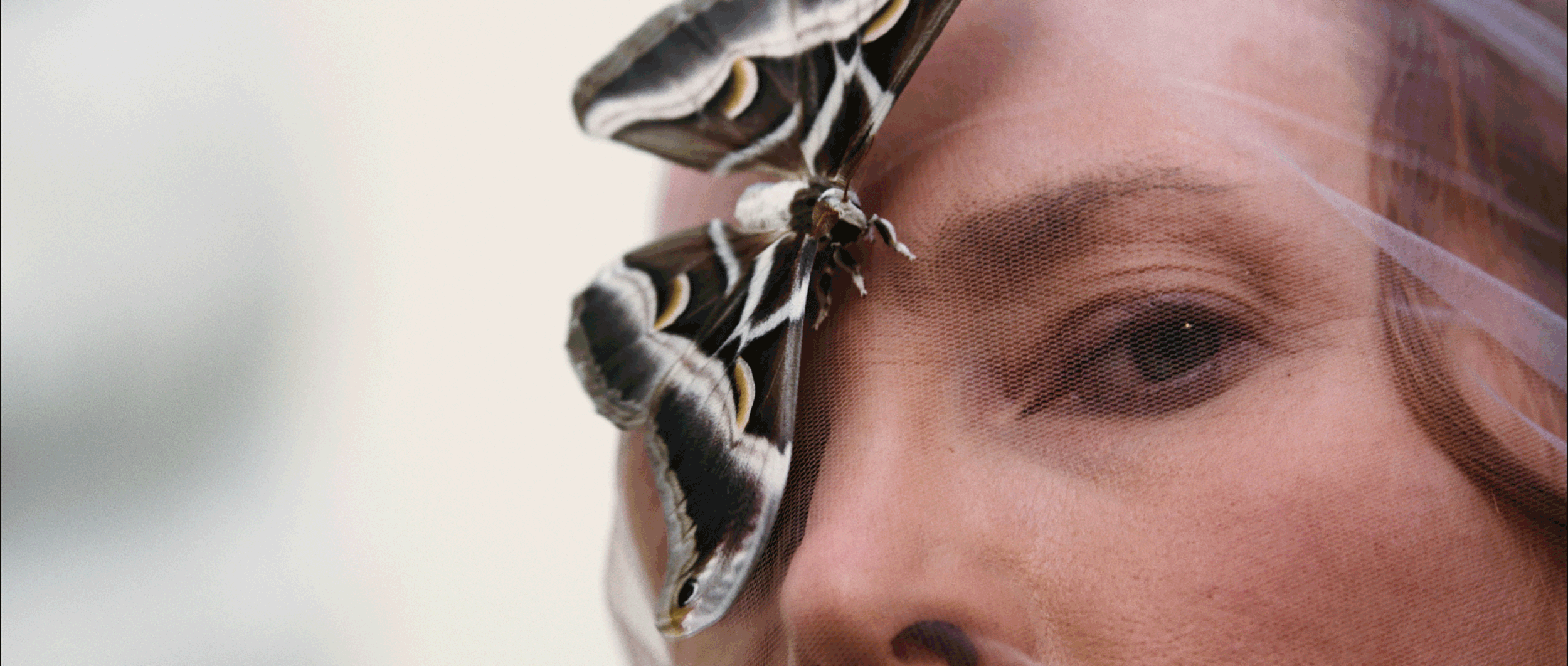 The-Mad-Silkworm-Ladyy-6.jpg