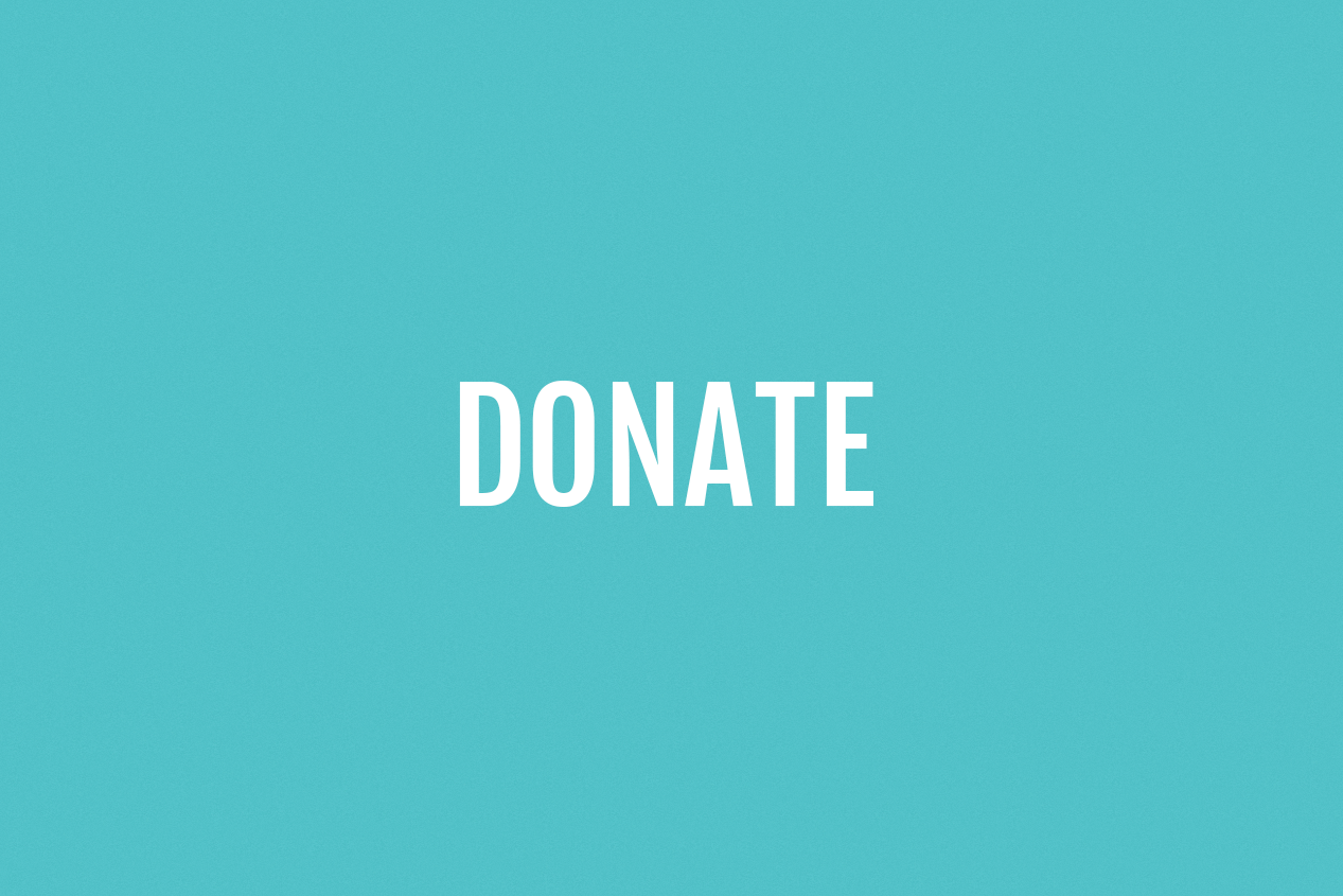 BLUE BLOCK DONATE.png